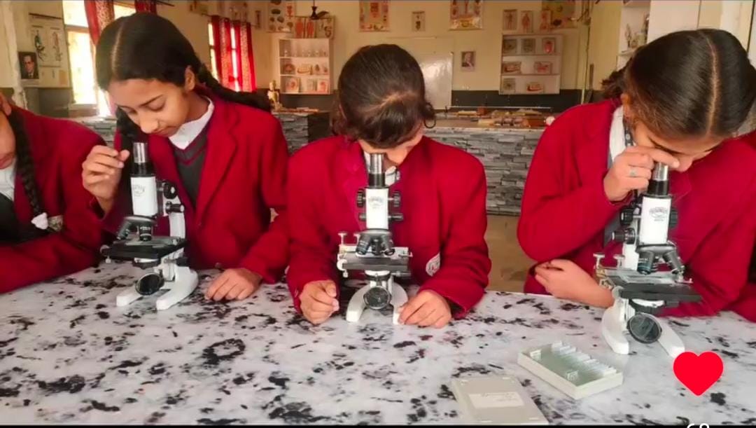 Introduction LearnPress – LMS plugin