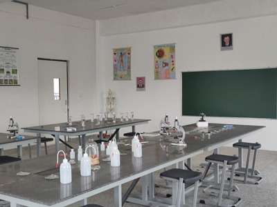 Become a PHP Master and Make Money